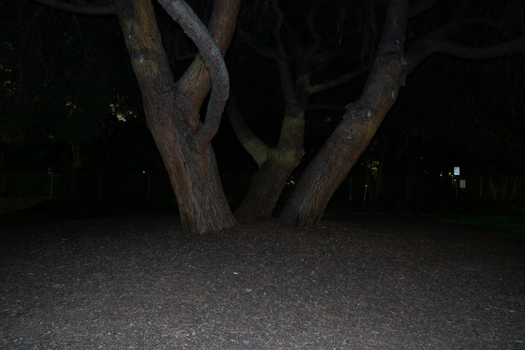 example photo lighting subject with light on camera hot shoe and the lack of dimension from a single light source