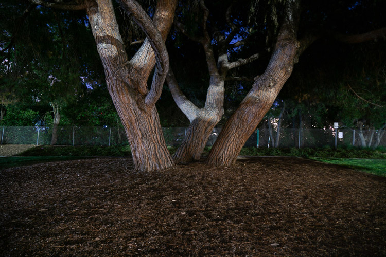 same photo at night edited to show details of the scene