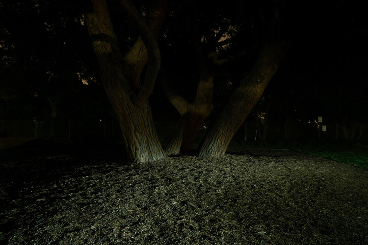 example photo showing light painted onto right area of foreground