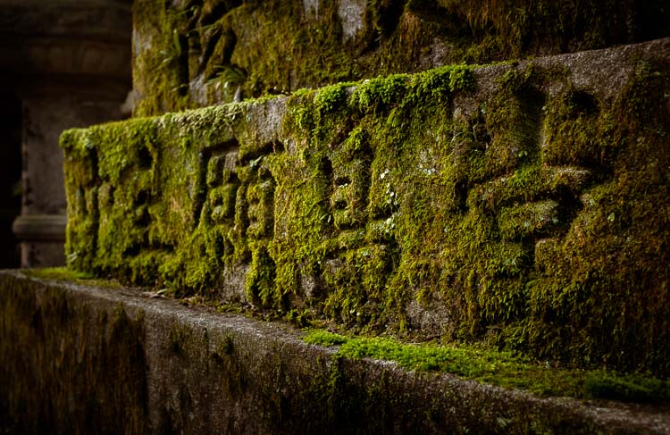 lightroom update version 12 02