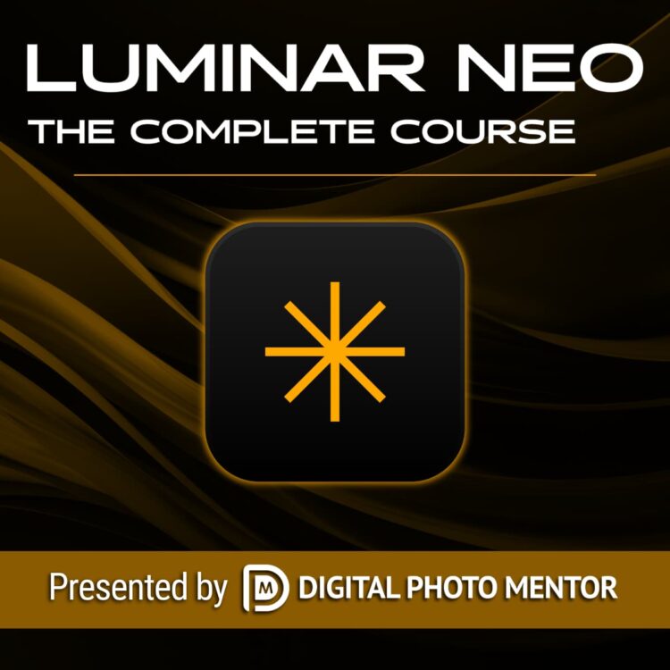 luminar neo complete course 2025 edition product