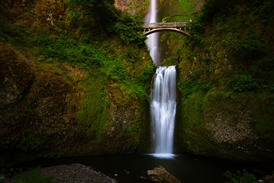 learn about the library module