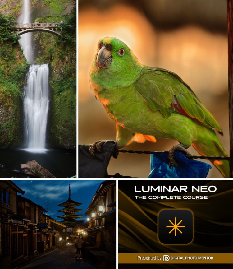 Luminar Neo Masterclass