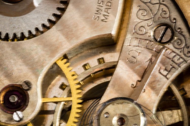 effects of a macro photo without using mirror lock up mode