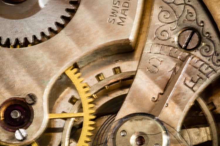 Macro-lens-750px-01.jpg Macro lens 750px 01