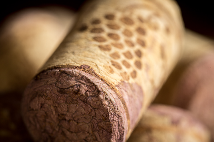 Macro-lens-750px-14.jpg Macro lens 750px 14