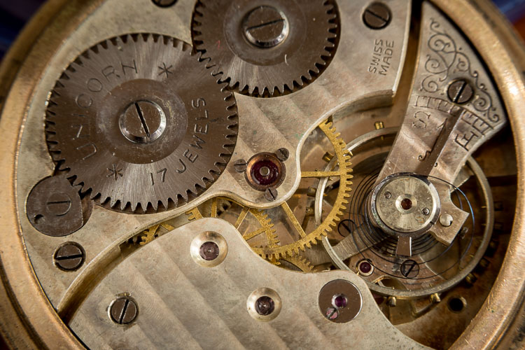 Macro-lens-750px-19.jpg Macro lens 750px 19