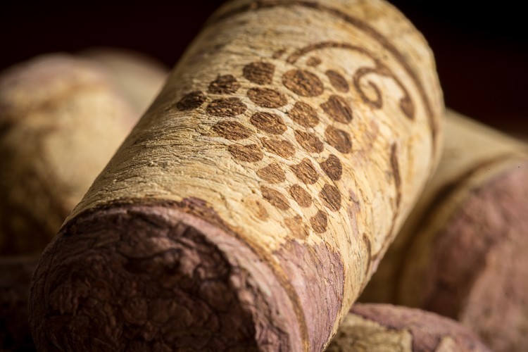 Macro-lens-750px-29.jpg Macro lens 750px 29