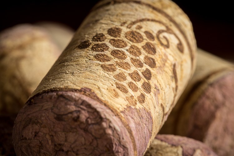 Macro-lens-750px-30.jpg Macro lens 750px 30