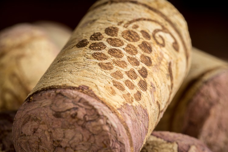 Macro-lens-750px-31.jpg Macro lens 750px 31