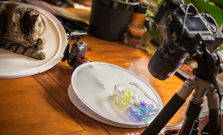 Macro-lens-750px-35.jpg Macro lens 750px 35