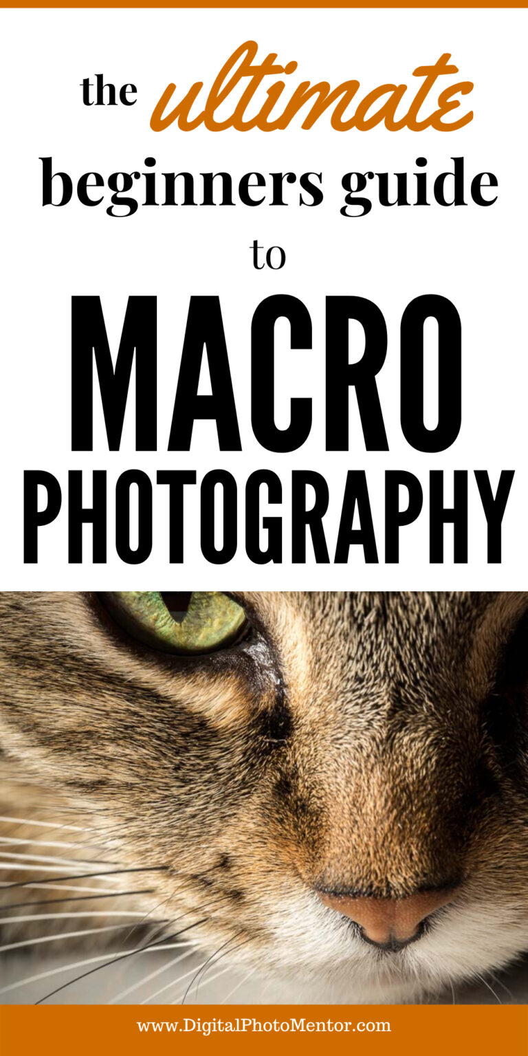 ultimate guide to macro photography for beginners