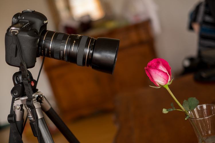 Macro-photography-extension-tubes-750px-06.jpg Macro photography extension tubes 750px 06