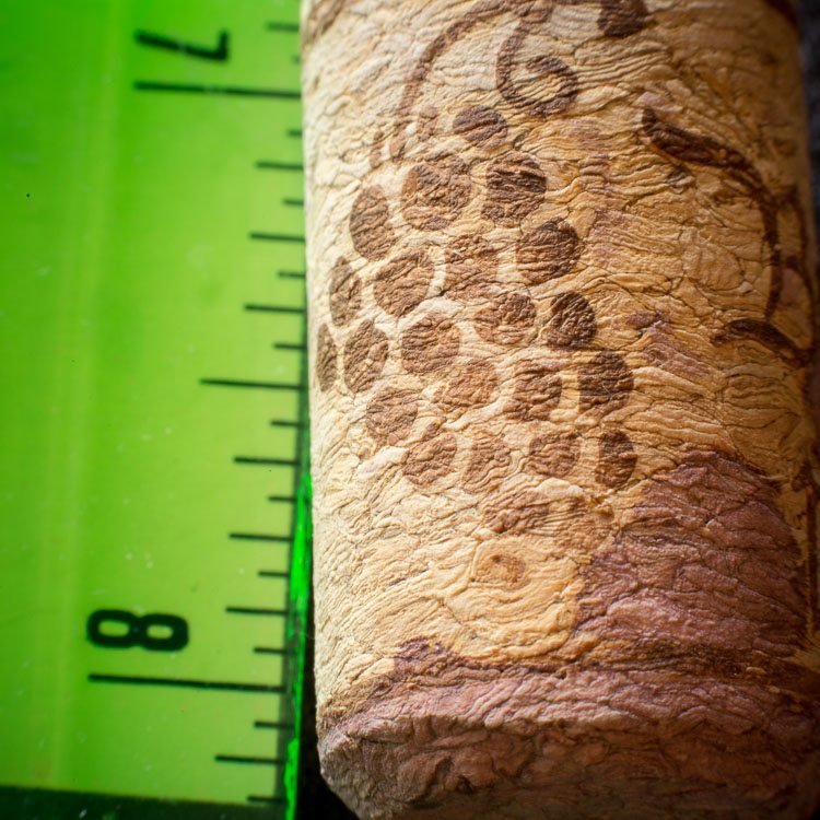 Macro-photography-extension-tubes-750px-18.jpg Macro photography extension tubes 750px 18