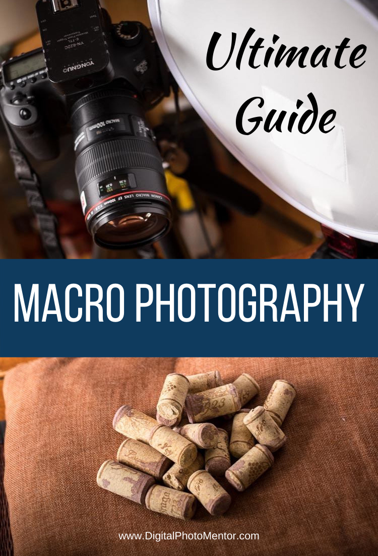 The ultimate macro photography guide to help beginners learn how to take photos of small things. Tips for camera settings and setup for macro photography. Learn how to get sharp images and best lighting techniques for macro photography.