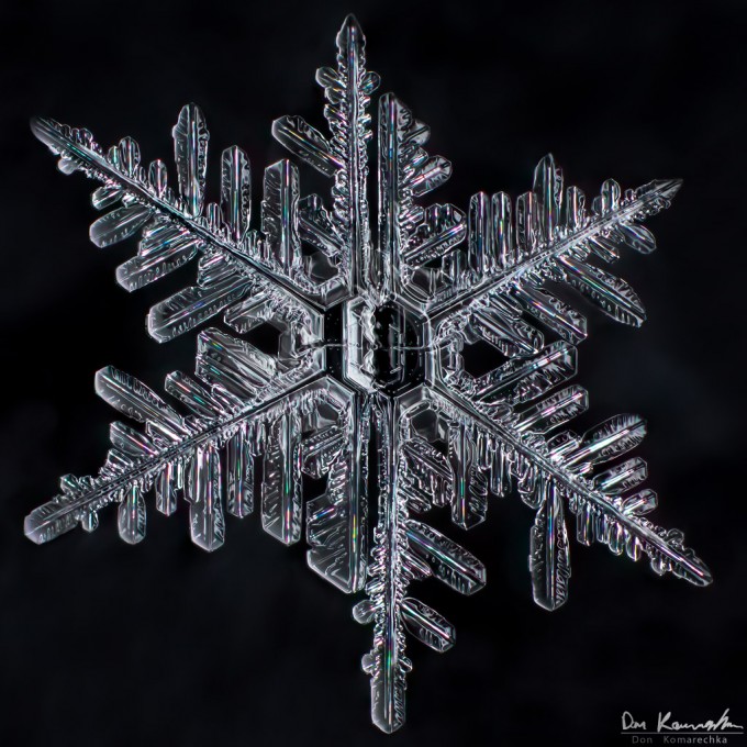 macro snowflake photo macro snowflake photo