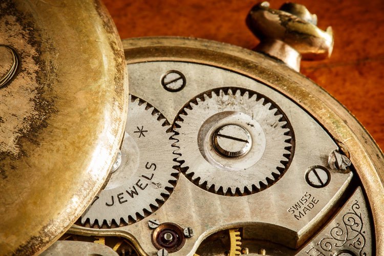 Marco-lens-750px-37.jpg Marco lens 750px 37