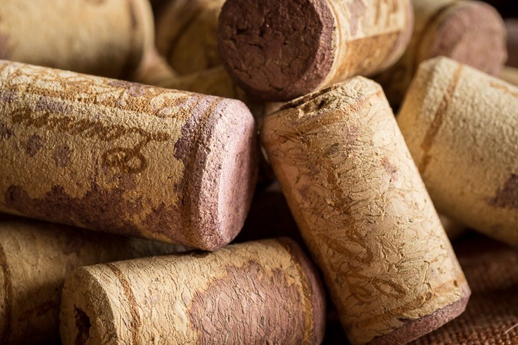 Marco-lens-750px-39.jpg Marco lens 750px 39