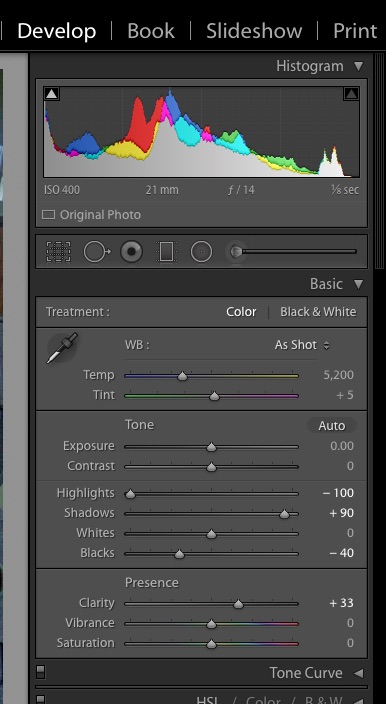 Screenshot of Lightroom Develop settings applied to single RAW file version