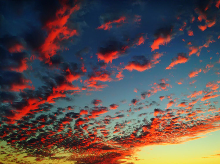 How to Develop the Art of Seeing Through Mindful Photography