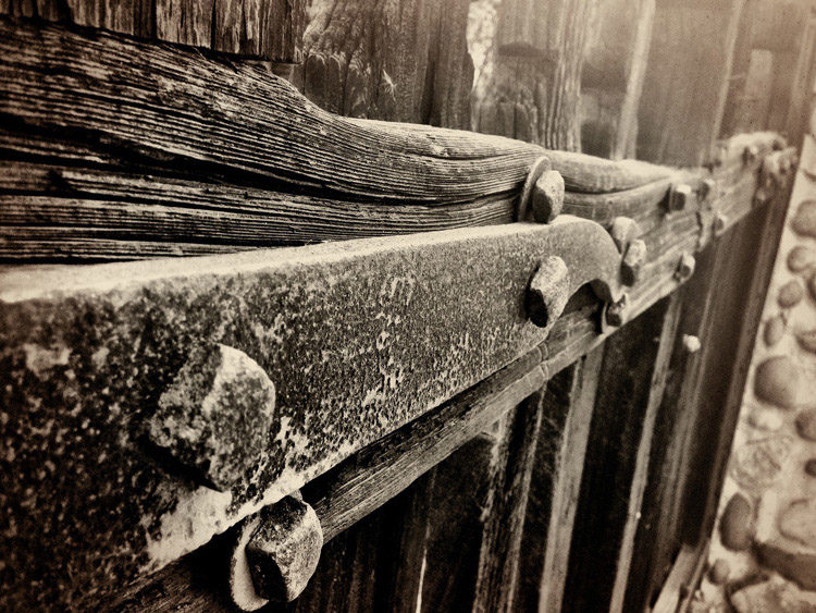 How to Develop the Art of Seeing Through Mindful Photography