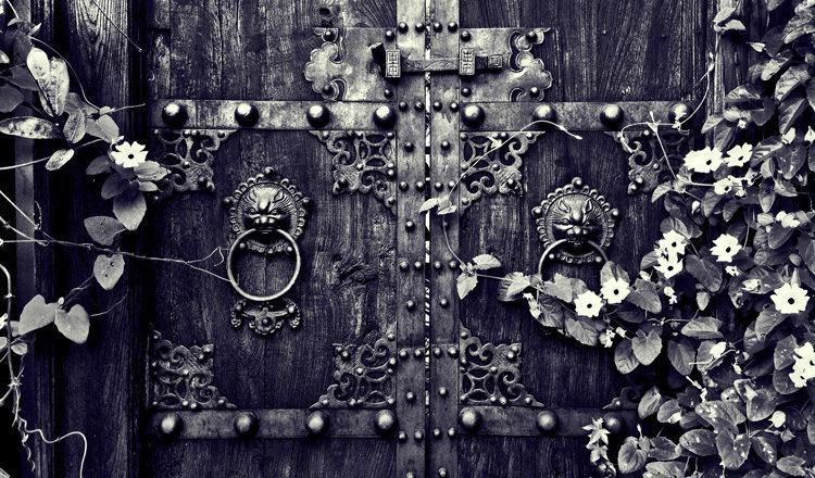 How to Develop the Art of Seeing Through Mindful Photography