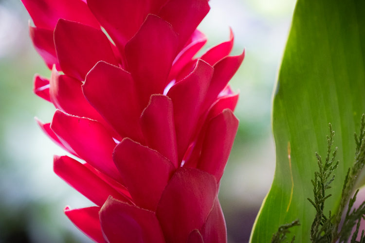 Nicaragua travel photo tips 07