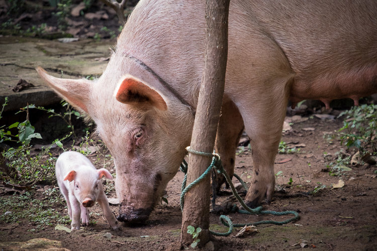 Nicaragua travel photo tips 16