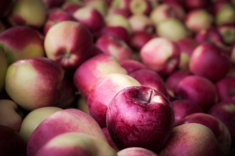 okanagan orchard apples