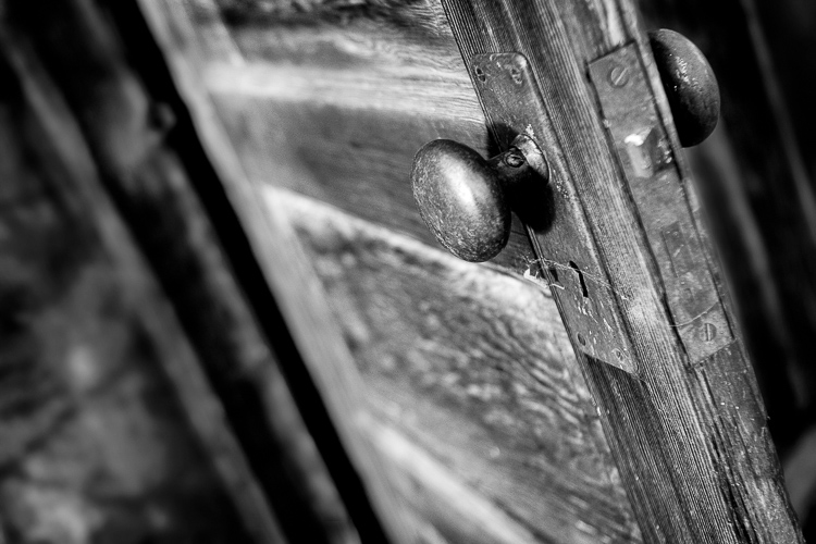 ordinary to extraordinary photography challenge