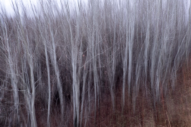 Motion blur added by moving the camera during the exposure.