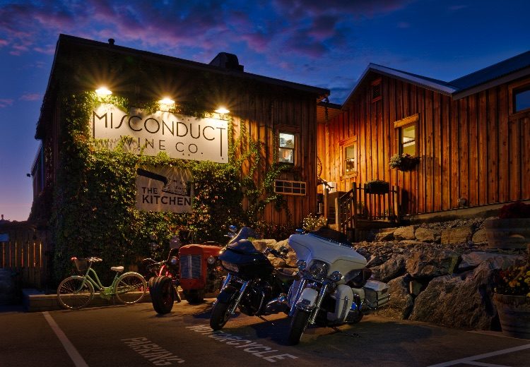 Lightroom alternative example photo 3 - tone control applied to the image