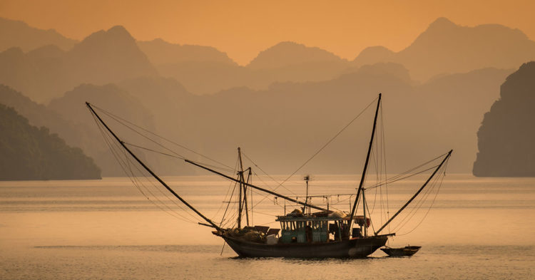 HA LONG BAY, VIETNAM - CIRCA SEPTEMBER 2014: Fishing boat in Halong Bay, Vietnam at sunset.