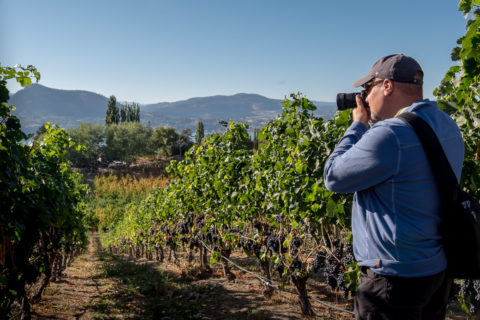 photography workshop student getting some shots of the winery grapes and landscape behind