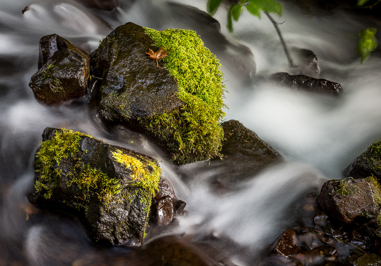 photo of a moving stream and waterfall in Oregon outside Portland