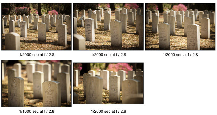 photography journey 11