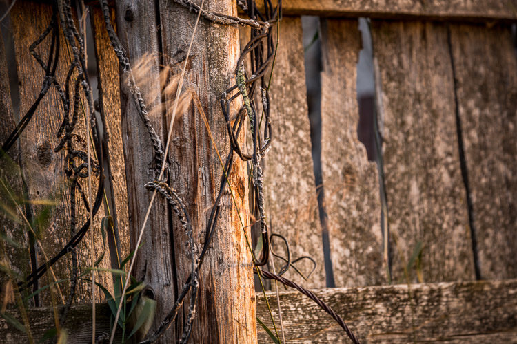 photography journey 12