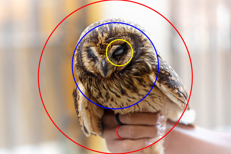 photography terms: metering definition example image