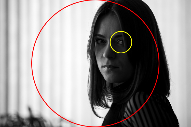 center weighted metering vs spot metering