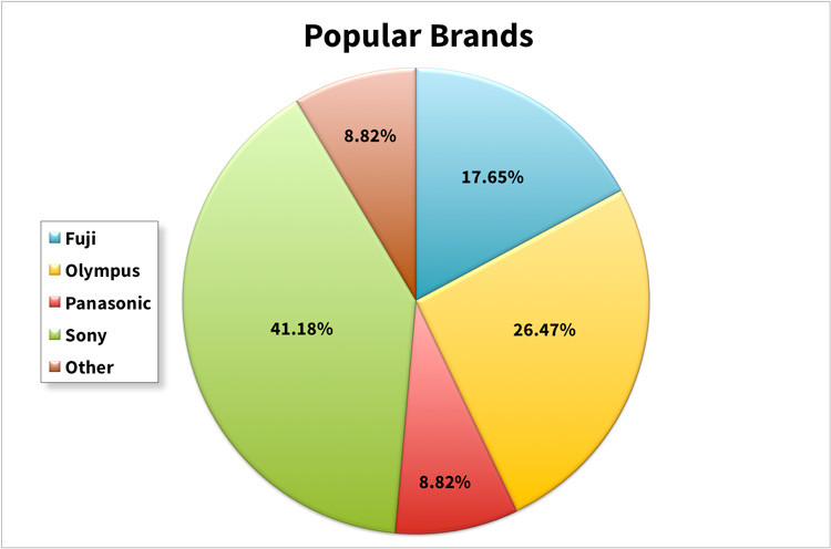 popular mirrorless brands