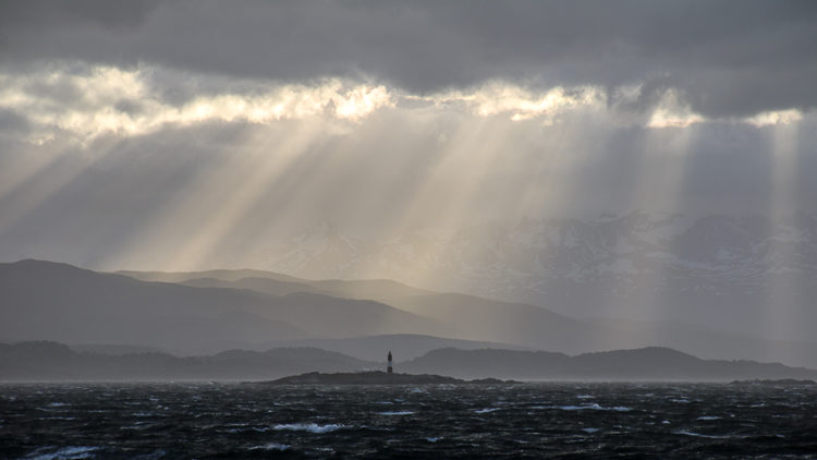 image after processing - Image Processing Demonstration Using Lightroom and Luminar