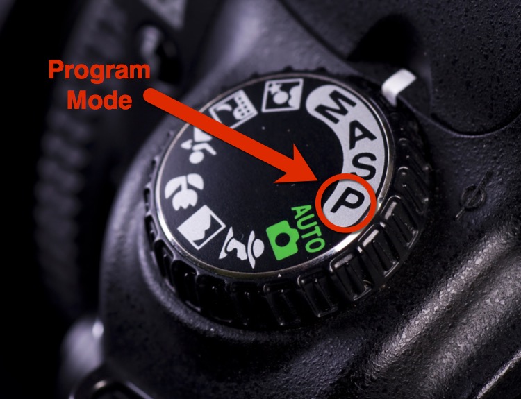 Close up of dial with Program mode selected and indicated with an arrow