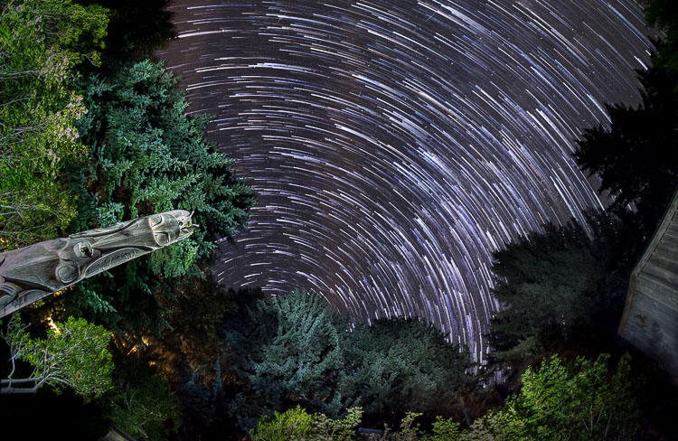 rokinon 8mm fish eye review 05