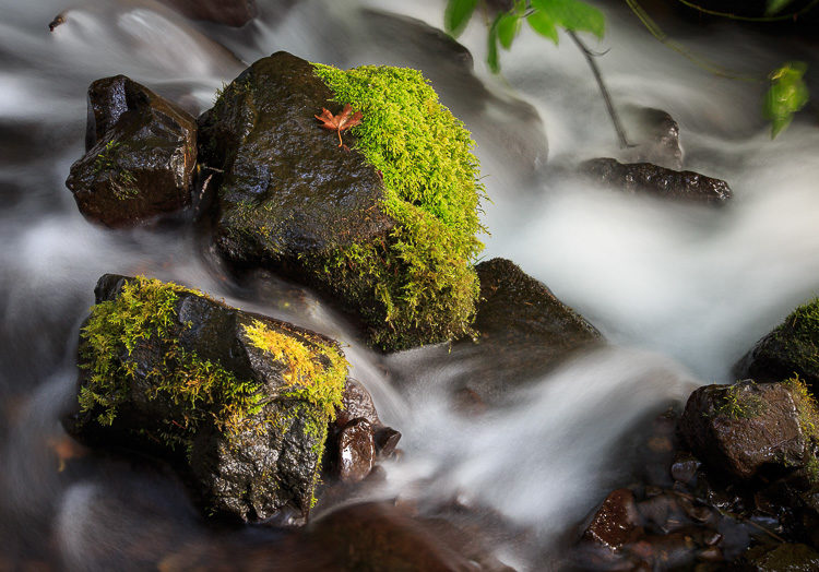 shutter speed 06 750px