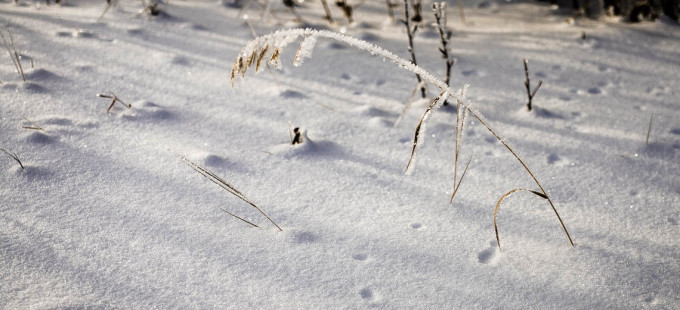 snow-winter-alberta-ice-1140px-03