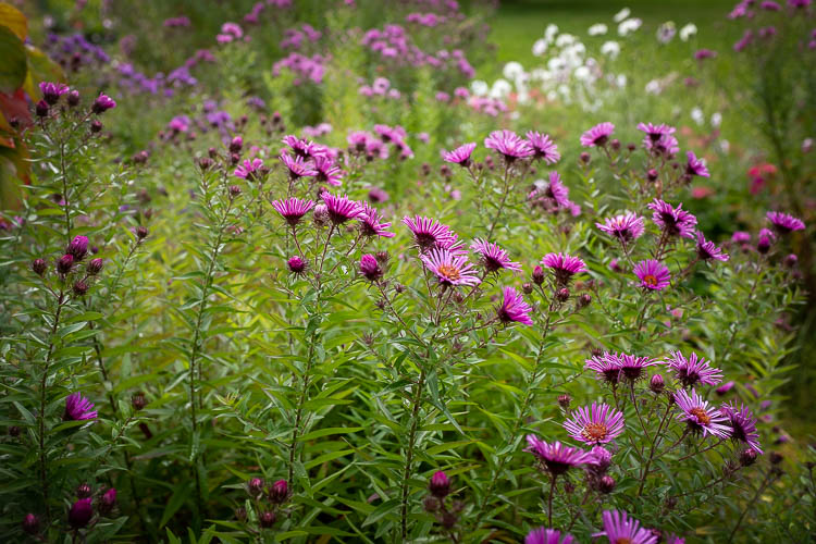 stop ruining photos 10