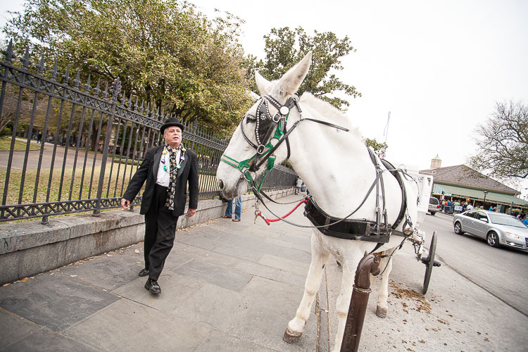 stop ruining photos 14