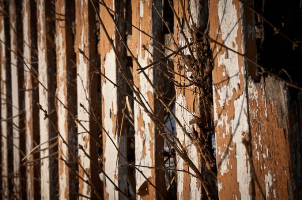 teaching-eg-019 teaching eg 019