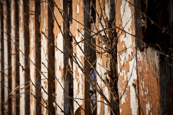 teaching-eg-018 teaching eg 020