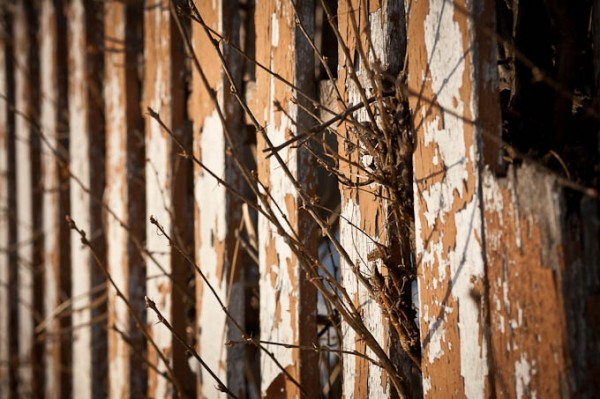 teaching-eg-018 teaching eg 021